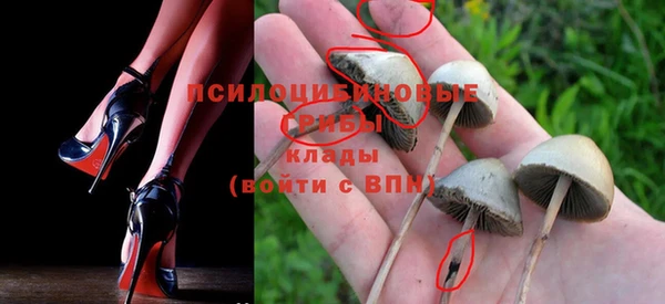 ГАЛЛЮЦИНОГЕННЫЕ ГРИБЫ Гвардейск