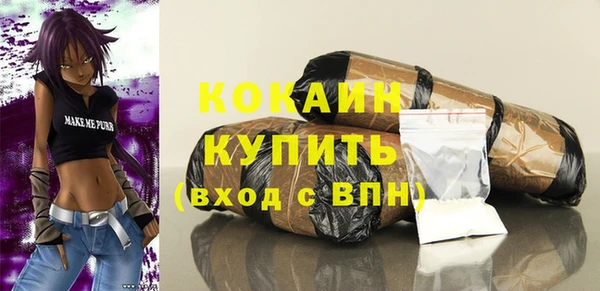 круглые Абаза
