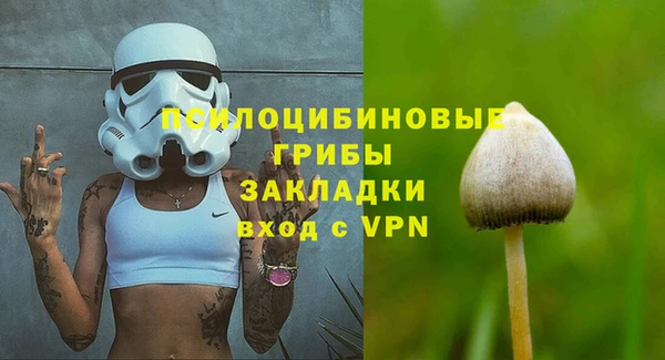 круглые Абаза