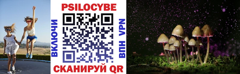 Псилоцибиновые грибы GOLDEN TEACHER  Галич 